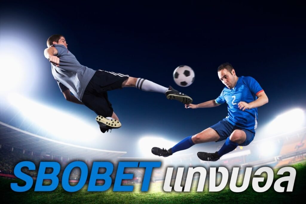 sbobetแทงบอล